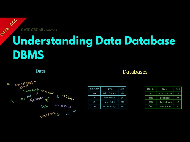 Understanding Data Database DBMS || Lesson 1 || DBMS ||