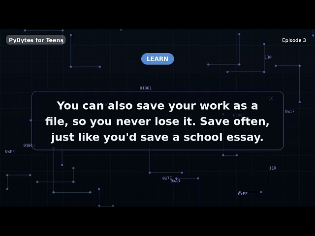 A Tour of Your Coding Playground | Python for Teens #3