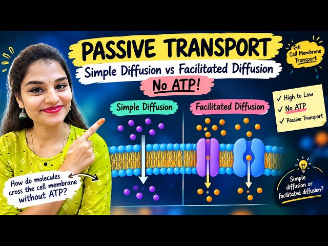Passive transport explained | simple diffusion vs facilitated diffusion #passivetransport #csirnet 