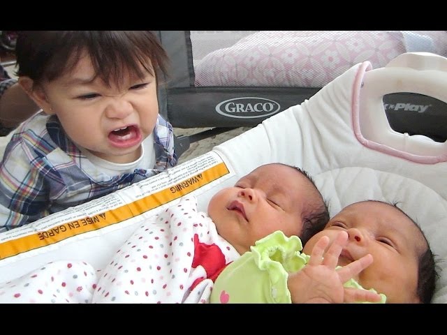 NO NO NO! - April 09, 2014 - itsJudysLife Daily Vlog
