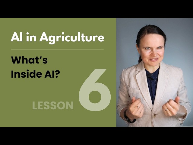 Components of AI System