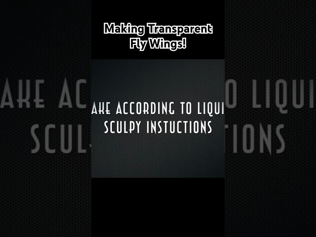 Making Transparent Fly Wings for "Super Fly" See the whole video on Clayformations!