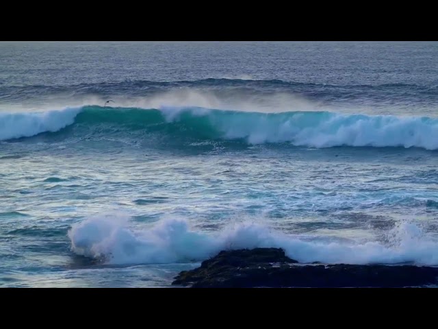 Cool mind music beautiful music study music