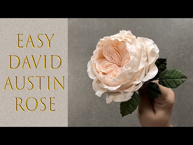 Gumpaste Flower Tutorial | Easy David Austin Sugar Rose Tutorial | No Stryro ball needed