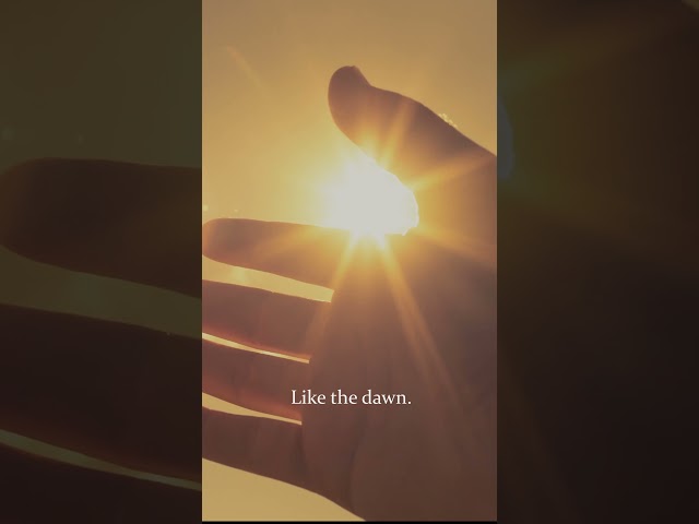 Return To God (With All Your Heart) | Catholic Hymn of Mercy #shorts #jesus #god #catholic