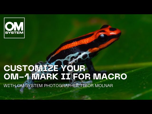 Customize your OM-1 Mark II for macro photography | with photographer Tibor Molnar