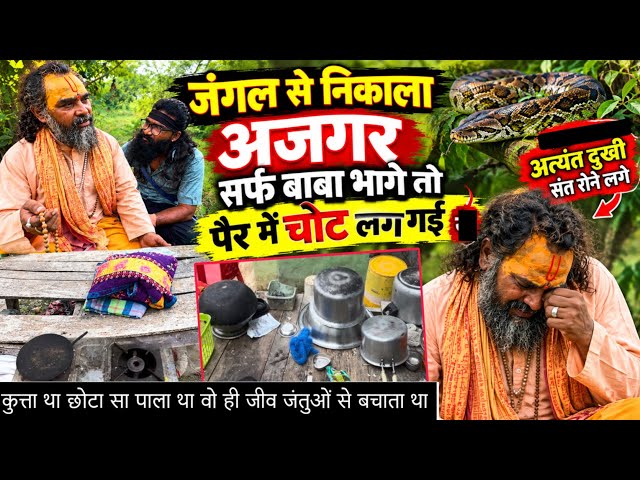 Python emerged from the jungle, Baba got injured while running away || Vk Baba vlogs