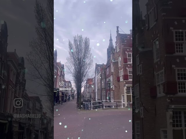 DELFT #delft 💙#morning #shorts