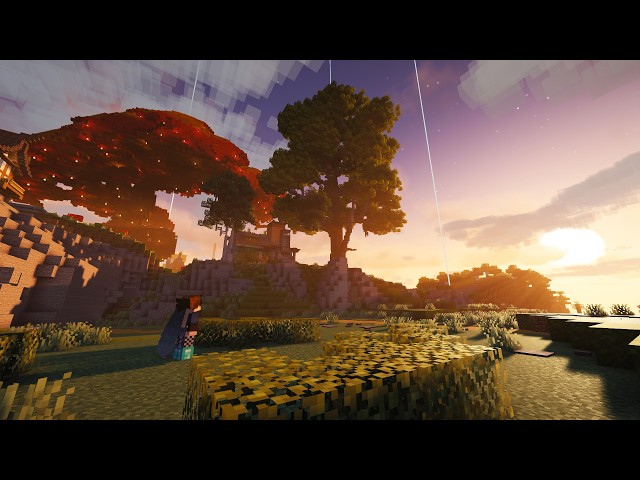 Wim's Server ~ Finishing The Land | Planning To Build Silo's/Barn ~ Java 26.2