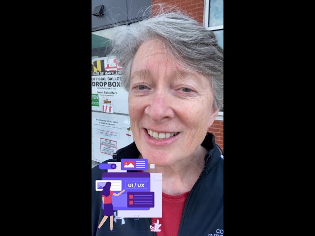 #InfoLection2024: Human-Computer Interaction and Elections