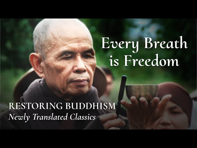 Let Understanding Be Your Only Career | Zen Master Thich Nhat Hanh