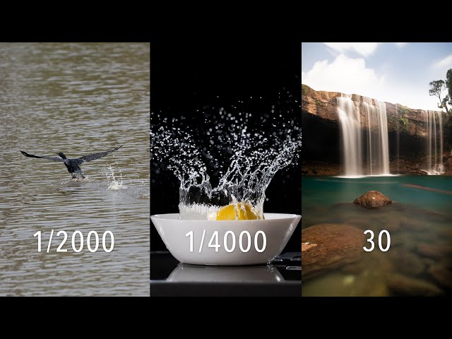 Shutter Speed : Camera Basics under 60 seconds! #Shorts