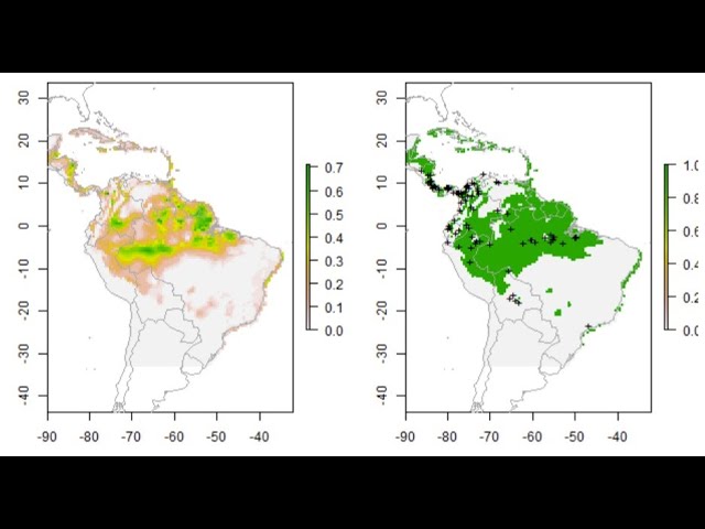 Species Distribution Models