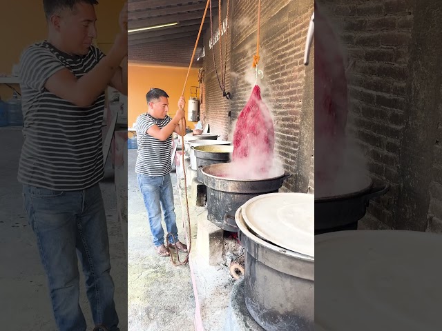 Meet the Zapotec Weavers Who Use Cochineal Dye | #DeepLook #Shorts