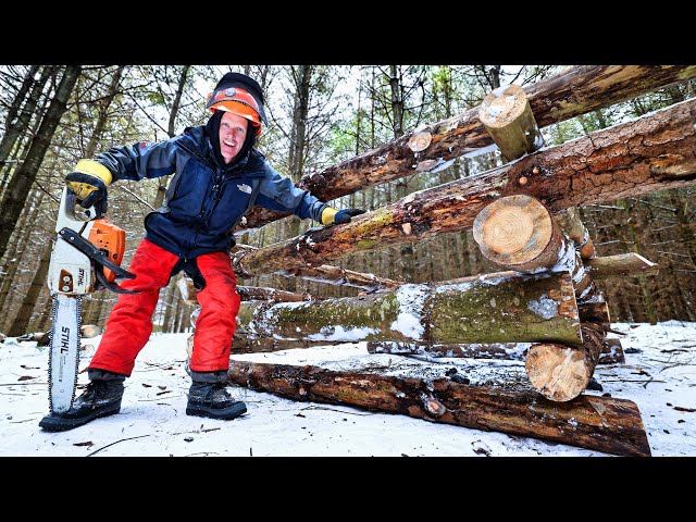 Building a Log Cabin from Logs in My Forest!