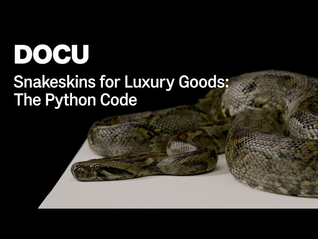 FULL DOCUMENTARY | planet e.: Snakeskins for Luxury Goods: The Python Code (Luxury vs Wildlife)