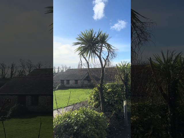 Sunshine after the storms!  #patchwork #thetherapycupboard #quiltingretreat #the3amigos #specials