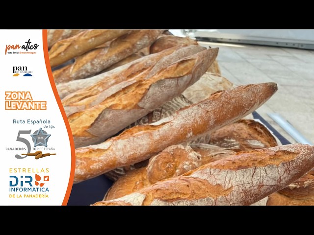 ZONA LEVANTE - SELECCIÓN DE LOS 50 PANADER@S TOP 2026 - Estrellas Dir Informática  de la panadería.