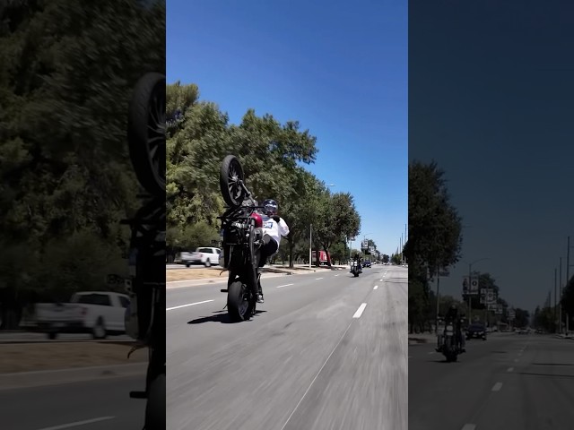 In the streets #harleywheelies #chrislongfilms #harleydavidson