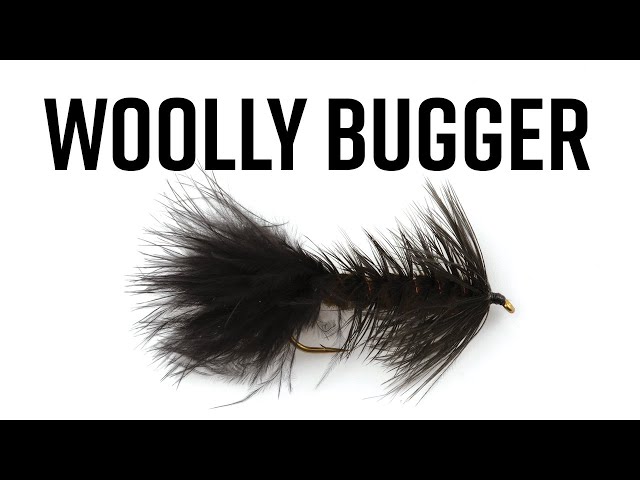 Woolly Bugger