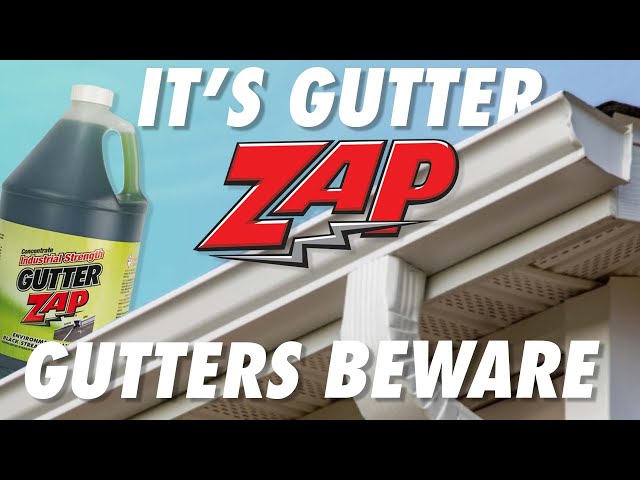 Gutters Beware...Its Gutter ZAP!