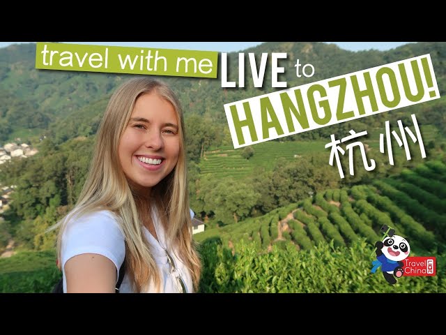 Travel to Hangzhou LIVE with me
