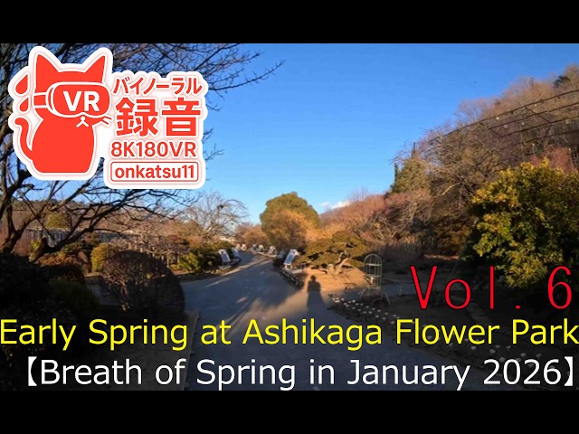 [8K VR180]🌱[Early Spring at Ashikaga Flower Park—Breath of Spring in January 2026]⑥