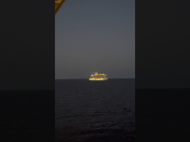 Msc Cruise Ship || Cruise ship