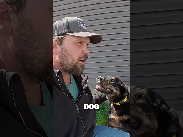Dog ran away. #fi #smartcollar