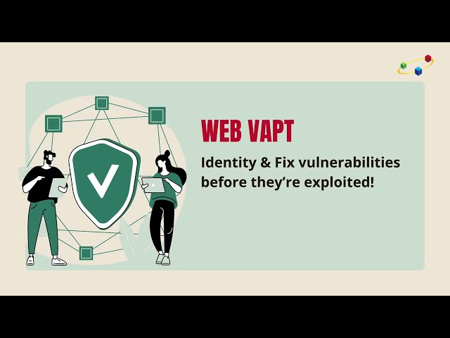 How Web VAPT is Performed?