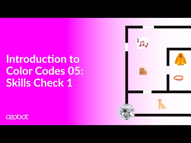 Introduction to Color Codes 05: Skills Check 1 (Grades K-2)