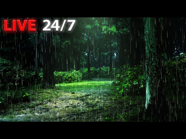 🔴Rain Sound Deep Forest in JAPANㅣHeavy Rain for Sleep, Study and Relaxation, Meditation