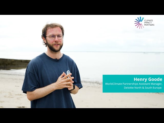 Accelerate Seagrass: Supporting the Development of a Seagrass Carbon Code in the UK