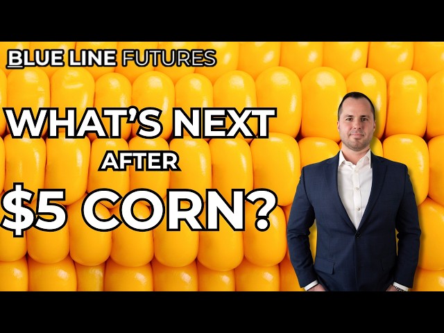 Corn's Clinging to $5, Beans Break Below $13: Key Levels to Watch | Oliver Sloup on Markets Now