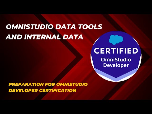 OmniStudio Data Tools and Internal Data | Challenges 1 to 5