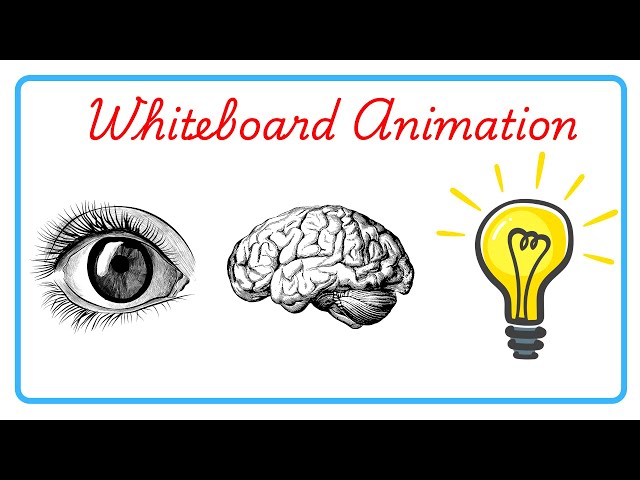 How to make Whiteboard animation video in Canva | Whiteboard animation tutorial