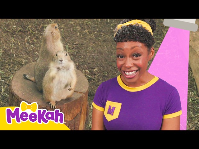 Meekah Makes Animal Friends | Visit at the Zoo | Educational Videos for Kids