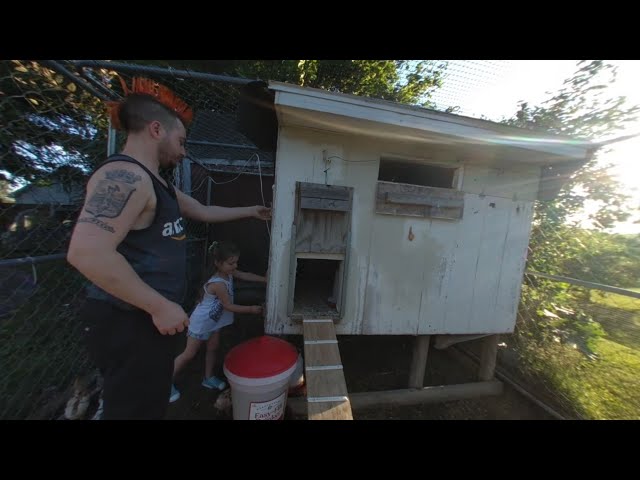 My Second VR180 Video: Checking For Chicken Eggs!