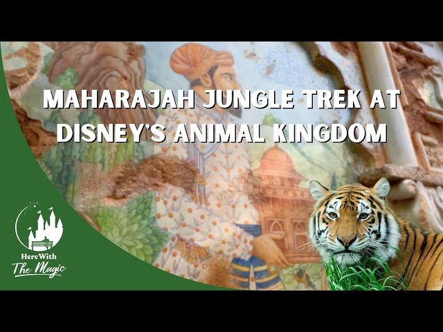 Maharajah Jungle Trek | Disney Animal Kingdom