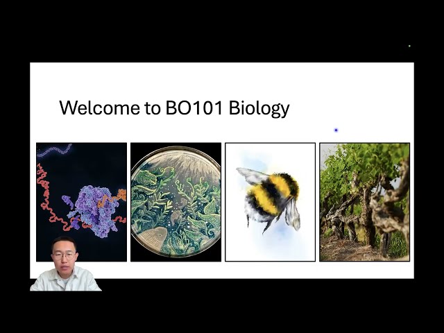 Microbiology at University of Galway