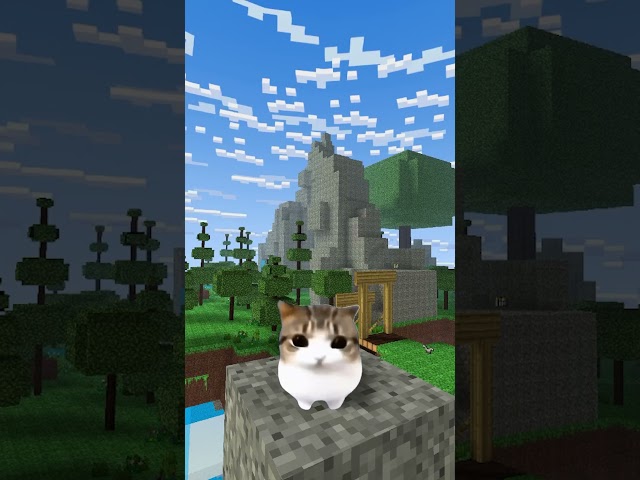 New character unlocked? 😸 #pg3d #game #kitty