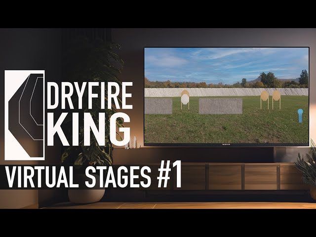 DRYFIRE KING #1 - VIRTUAL DRYFIRE COURSE (USPSA IPSC IDPA)