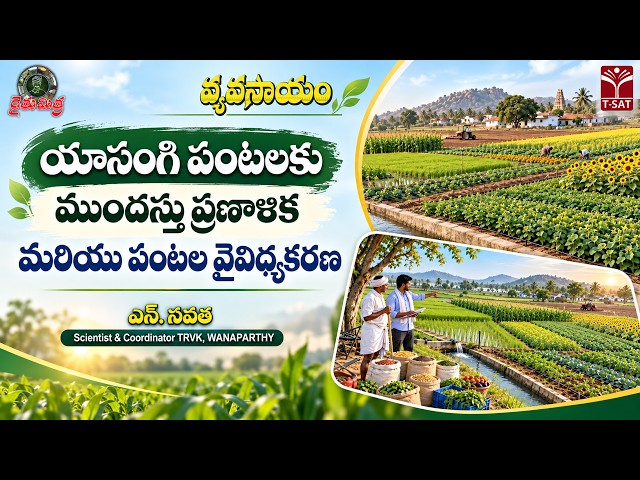 🌾రైతుమిత్ర వ్యవసాయం | యాసంగి పంటలకు ముందస్తు ప్రణాళిక మరియు పంటల వైవిధ్యకరణ | ఎన్. నవత | T-SAT