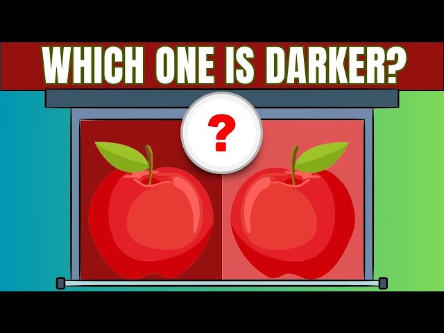 Do You Have Lazy Eyes? |Vision Test - EASY | MEDIUM | HARD | TRICKY