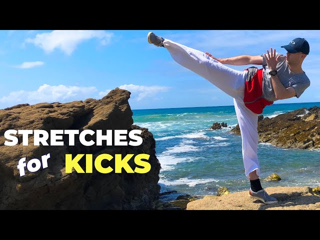 Stretches for Kicks & Side Splits / Box Splits Stretching Exercises for Flexibility