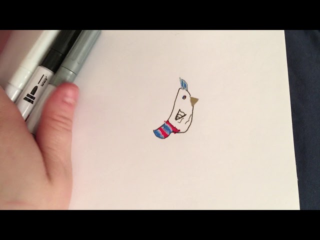 How to draw  a cartoon face and bird with Lidia.