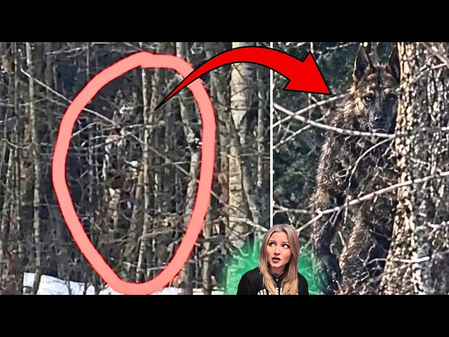 SCARIEST Nightmare Fueled CRYPTIDS, Paranormal & MORE Horrors Caught on Camera