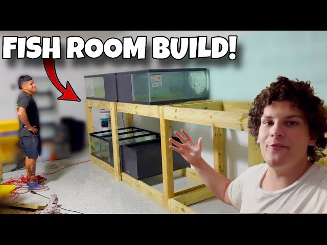 Building My Dream Fish Room Rack for Monster Fish!