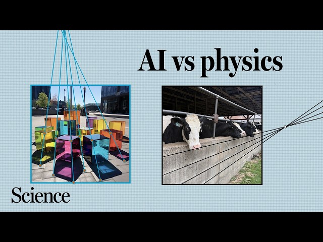 What AI can't fake about the real world (yet)