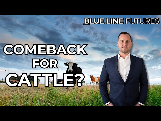 Is Cattle Carving Out a Reversal? Plus, the Border Reopening's Real Impact | Oliver Sloup